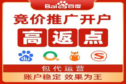 sem代运营公司案例解析：如何制定有效的广告策略